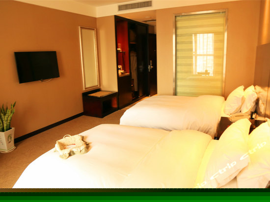 高级双床房