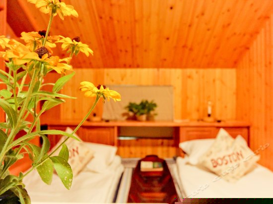 榻榻米之匆匆那年