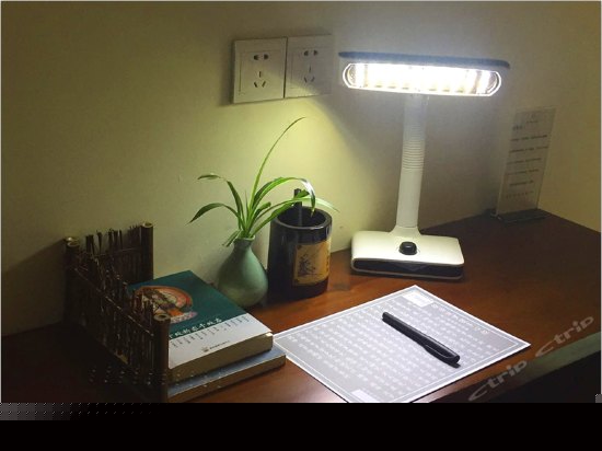 花园复式家庭房