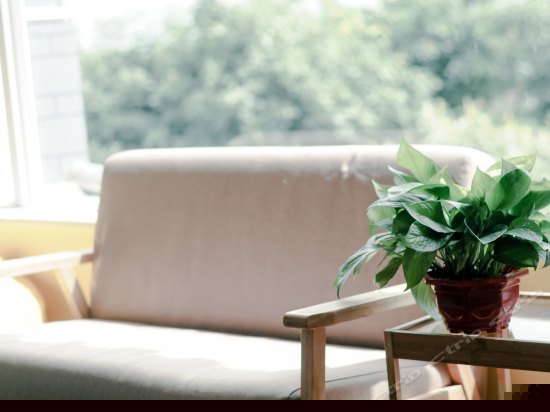 西窗零号超大榻榻米风景间