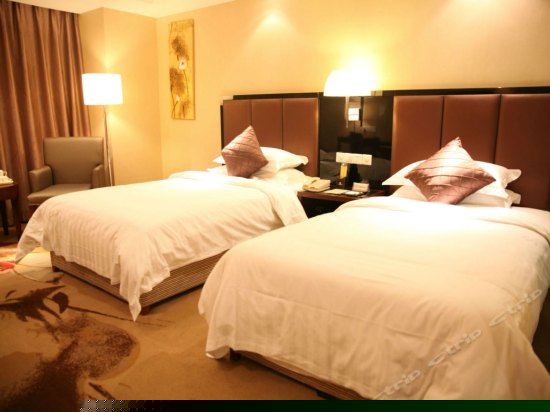 舒适温馨双床房