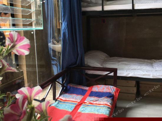 拥挤的乐园（床位房）