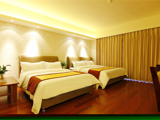 豪华市景家庭房