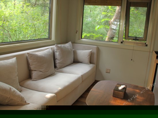 三人榻榻米森林房