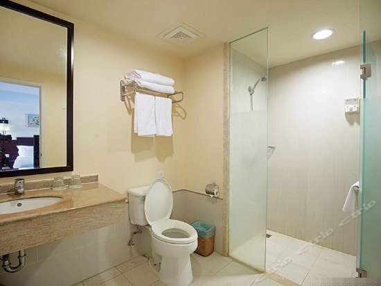 山海居 b大床房