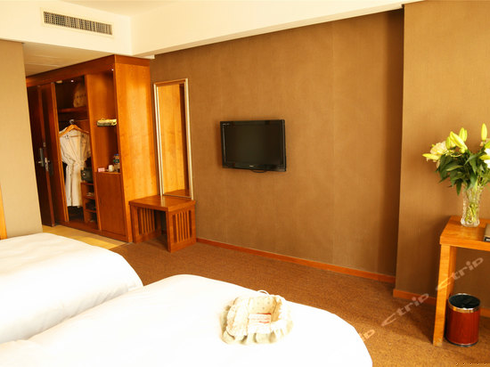 高级双床房