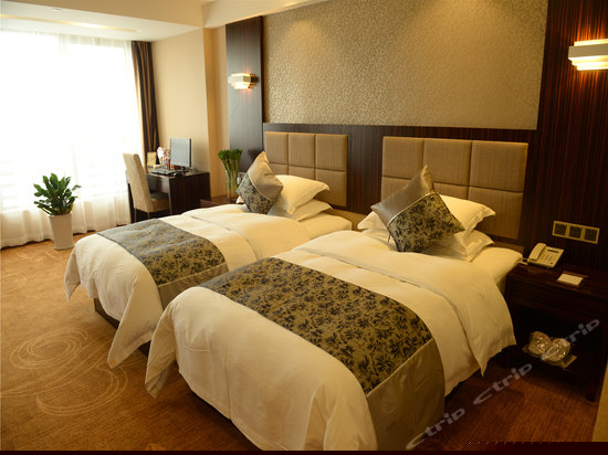 豪华双床房