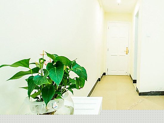 领海套房（二房一厅）