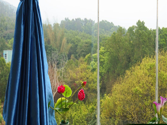 豪华观景双床房