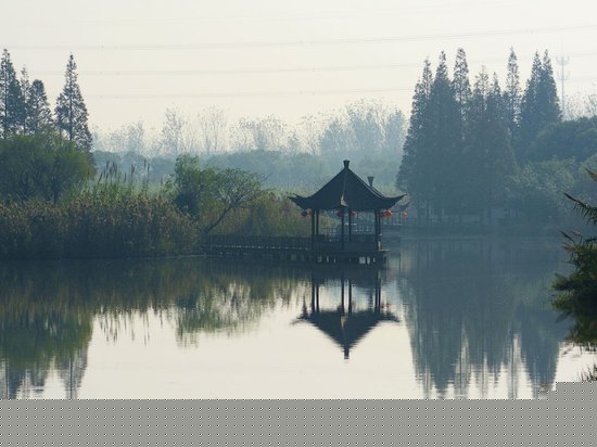 周边图片