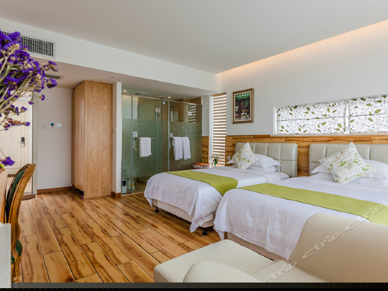 香草天空温馨双床房