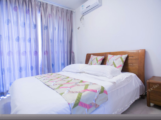 雅致市景套房2房1厅