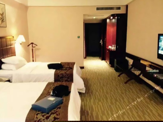 酒店房型