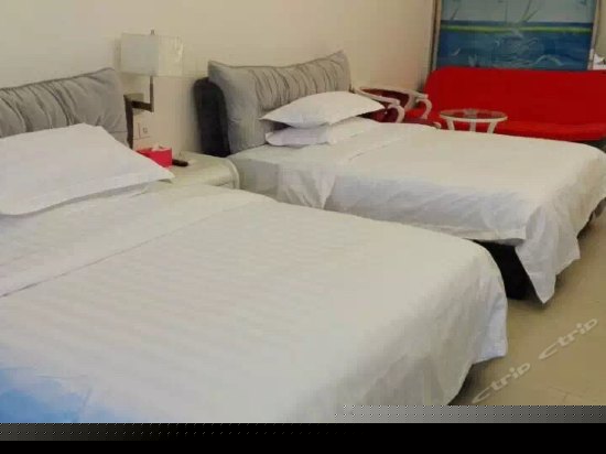 正面全海景双床房