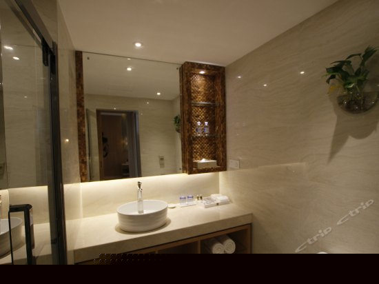 高级园景双床房