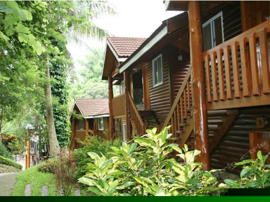 森林原木屋四人房