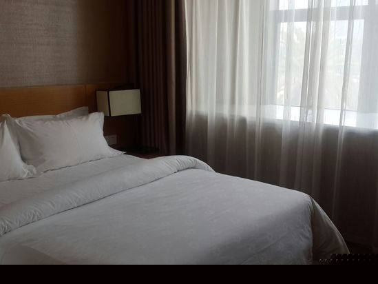 酒店房型