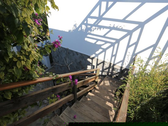 私密花园阳光双床房-榡