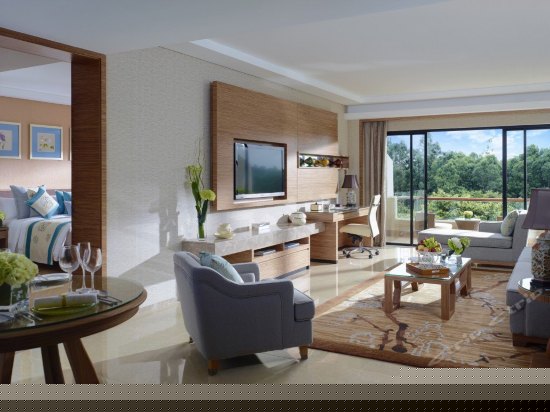 高级尊尚家庭套房