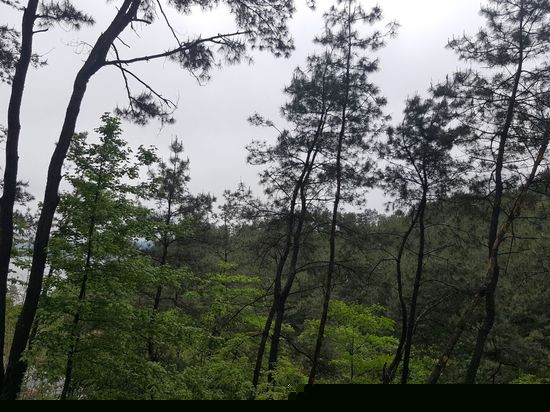 眺望远景