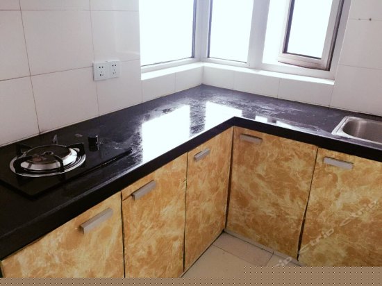 豪华一房一厅小套