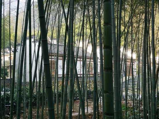 周边图片
