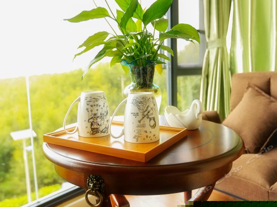 尊贵海景大床房