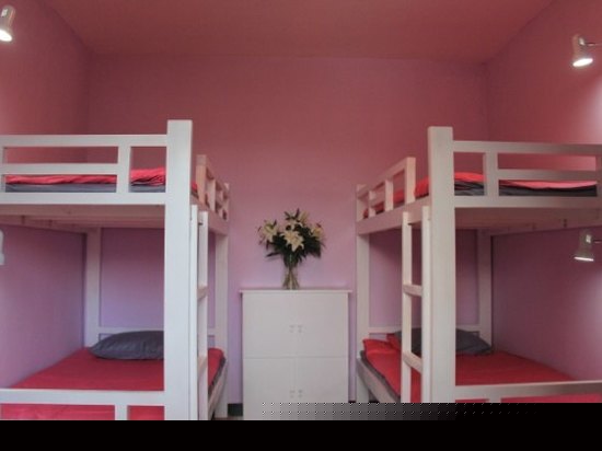 彩色4人间（床位房）