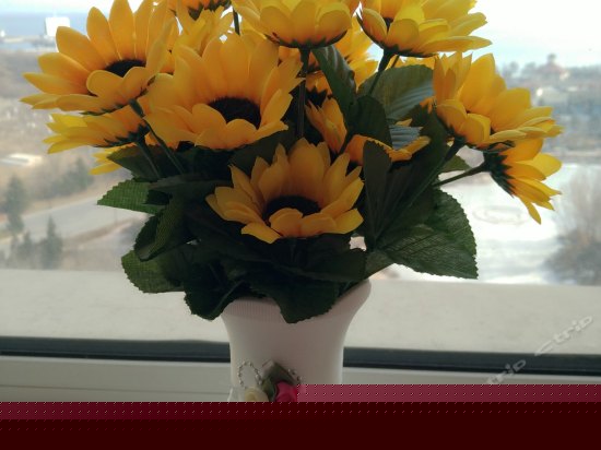 浪漫榻榻米海景房