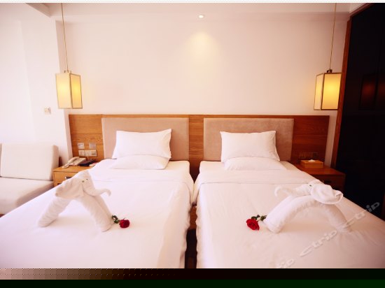 高级园景双床房