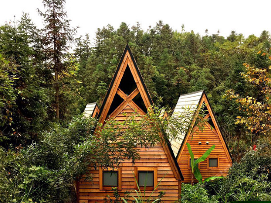 树屋世界伊甸园