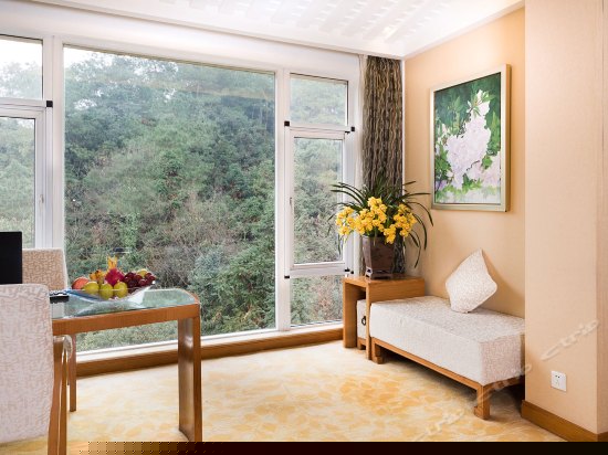 8号楼山景大床间