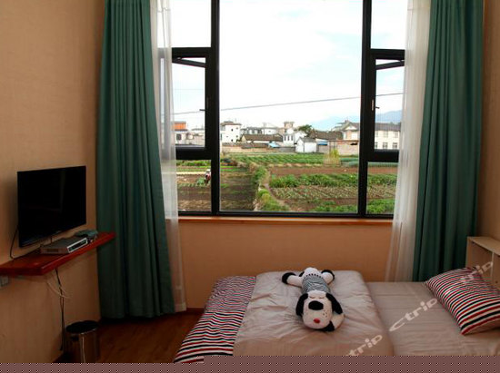 花开田田园风光房