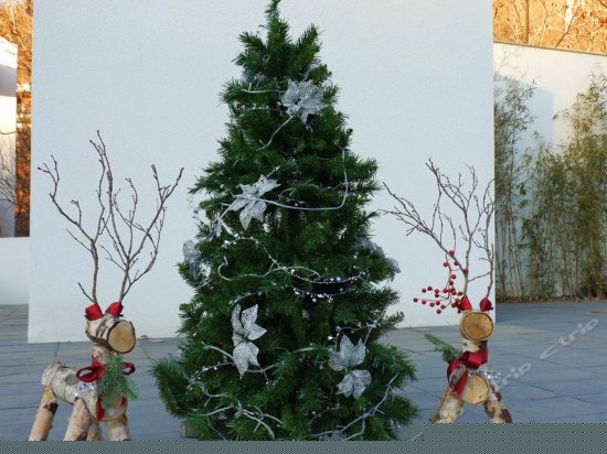 儿童乐园/儿童俱乐部