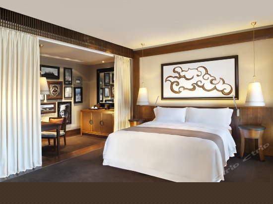 豪华房(布达拉宫景)