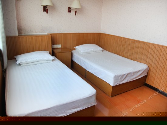 标准双人间