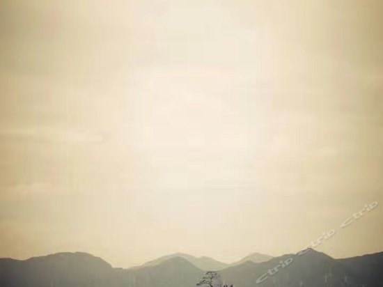 松景园园景大床房