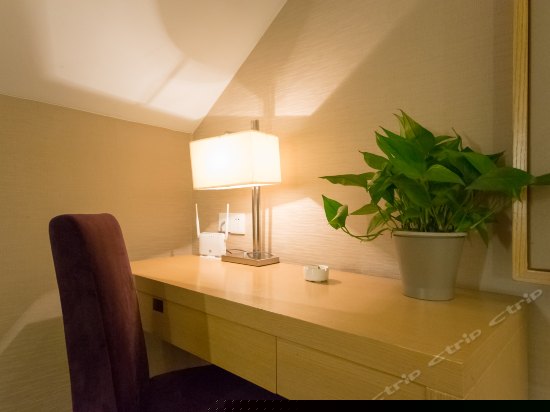 雅庭风情房(阁楼)