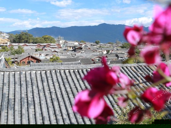 独立阳台豪华景观房