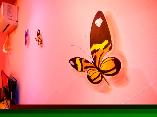 浪漫圆床电脑房