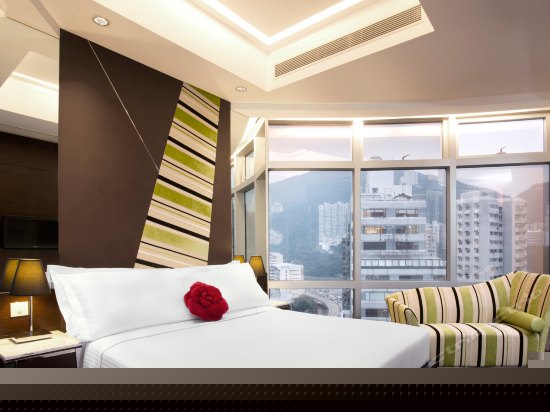 纯净空气豪华客房