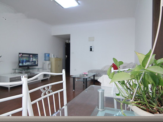 大套房（电脑）