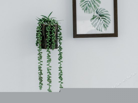 南北一号阳台绿色间