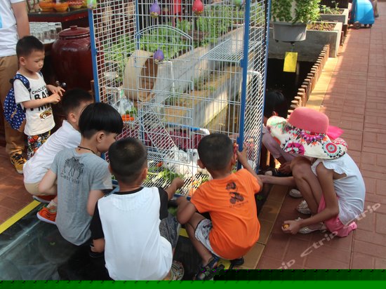 儿童乐园/儿童俱乐部