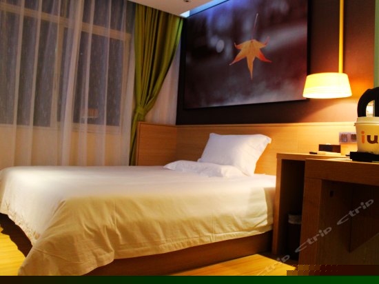 i IN（至IN大床房）