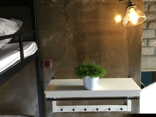 拥挤的乐园（床位房）