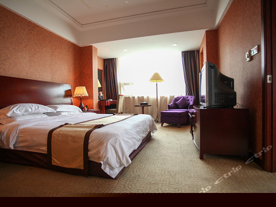 豪华数码单人套房（主楼）