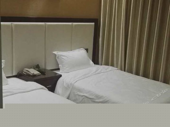 标准双床房（无窗）