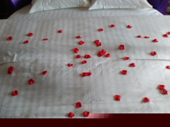 紫色海景电动圆床房