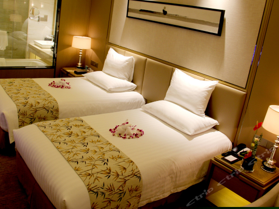 豪华市景双床房